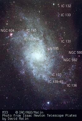 [M33 image with NGC/ICs identified]
