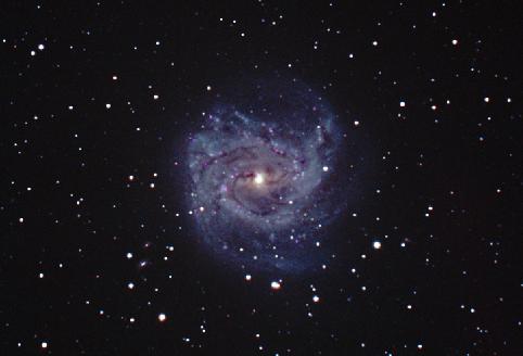 [M83, George Greaney, newer image]