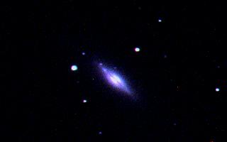 [M102/NGC 5866, J. Sefick]