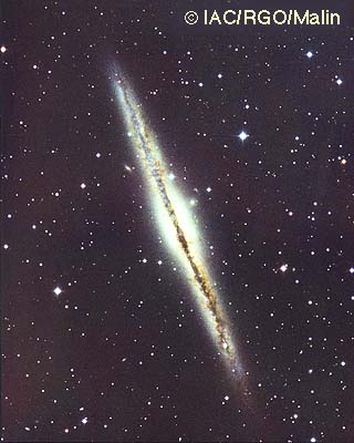 [NGC 891, INT]