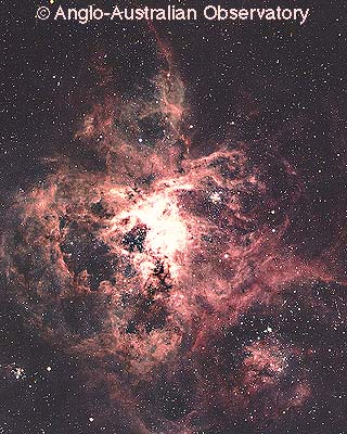 [NGC 2070, AAT]