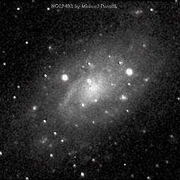 [NGC 2403 M. Purcell]