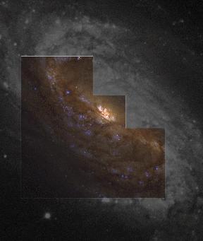 [NGC 2903, HST]