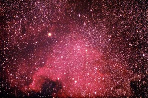 [NGC 7000, Ray Palmer]